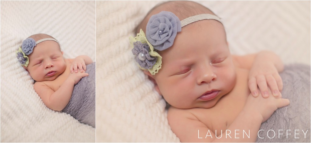 newborn pictures, girl newborn pictures, newborn photography, newborn picture ideas, Lauren Coffey Photography, LLC