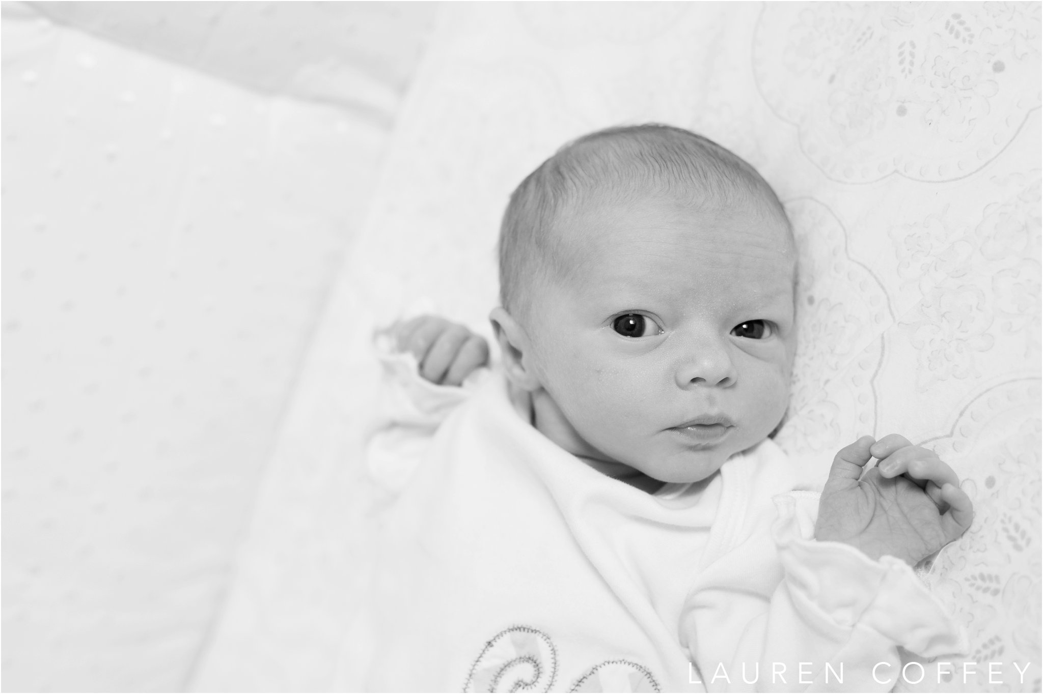 Lauren Coffey Photography, LLC Lifestyle Newborn Photographer